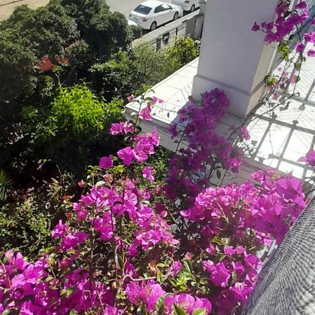 Blanca Rosa Valparaiso B&B Exterior photo