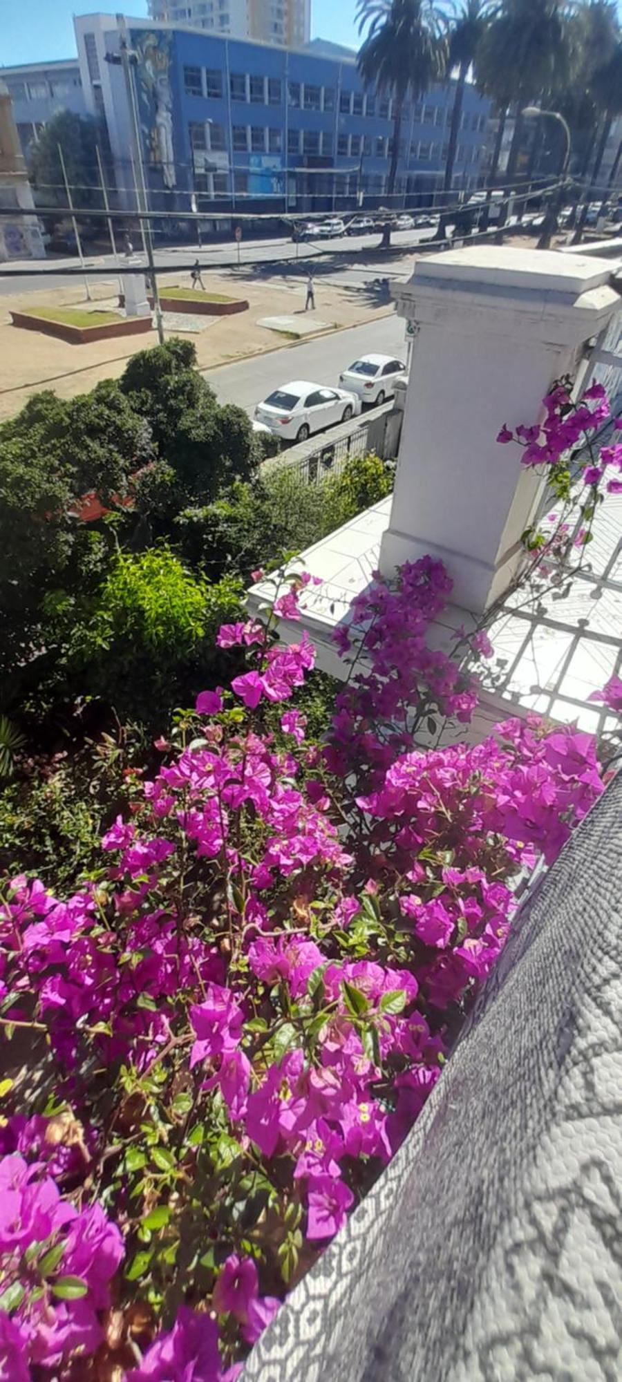 Blanca Rosa Valparaiso B&B Exterior photo